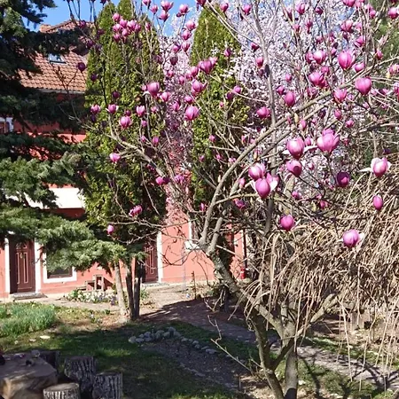 Fairyland Villa *