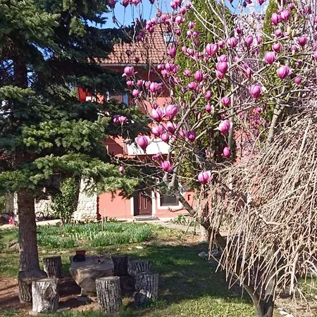 Fairyland Villa